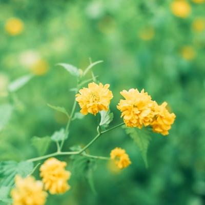 悠悠升级手游下载